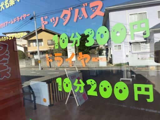 リラクゼーションコインセルフドッグスパエアリーわん エアリーわん いわきの犬の無料広告 無料掲載の掲示板 ジモティー