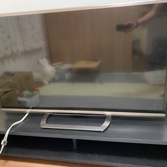 テレビ&テレビ台セット