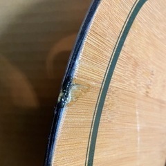 jones hover craft  156  ジョーンズ　ホバークラフト　パウダーボード