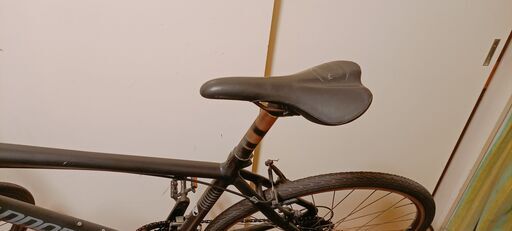 キャノンデール バッドボーイ Cannondale BadBoy Size:L 【直接取引