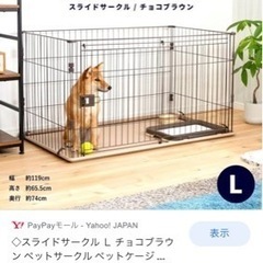 保護犬用のためにの画像