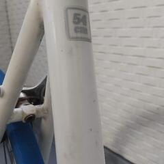 交換可　tern rivet サイズ54