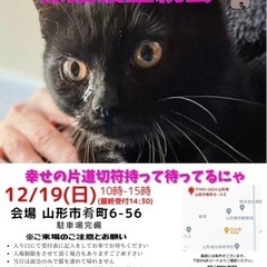 『にゃんこねくと』12/19保護猫里親会