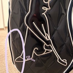 PING KARSTEN キャディバッグ　2020年モデルカートバッグ　中古美品