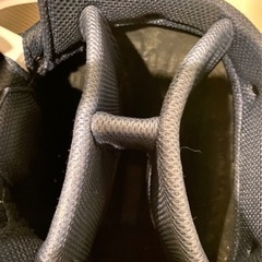 PING KARSTEN キャディバッグ　2020年モデルカートバッグ　中古美品