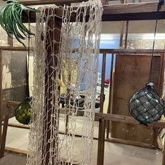 観葉植物 その他装飾品 100点以上