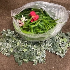 観葉植物 その他装飾品 100点以上
