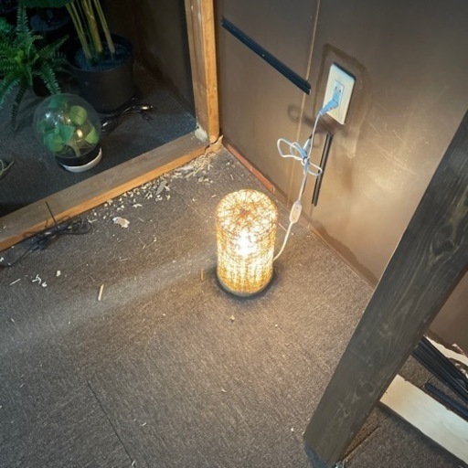 観葉植物 その他装飾品 100点以上 【公式通販】