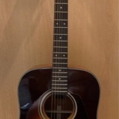 ギター Morris MD-256TS Acoustic Guitarの画像