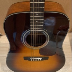 ギター Morris MD-256TS Acoustic Guitar - 新宿区