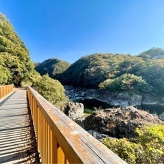 ハイキングしませんか❓🌳✨