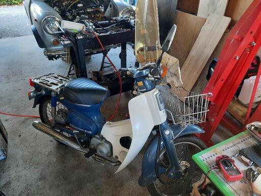 不動】ホンダ スーパーカブ【6V】 | primariabistra.ro