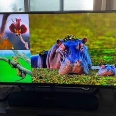 LG 43インチ IPS 4K液晶テレビ