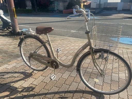 ⭐️早い者勝ちです‼️‼️
