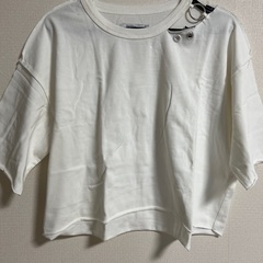 白　Tシャツ