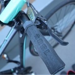 Bianchi(ビアンキ) ROMA4 