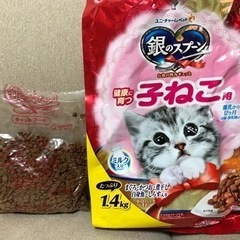 子猫用カリカリ 餌