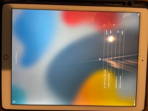 Pad Pro12.9 SIMフリーゴールド　使用感少ない美品おまけあり
