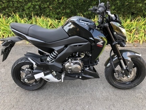z125pro‼️