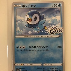 ポケットモンスター　ポッチャマ　プロモカード　ポケモン