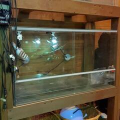 エーハイム レプタイルゲージ 9045 2個