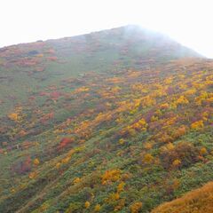 ☆登山仲間募集☆～新潟県内低山中心～の画像