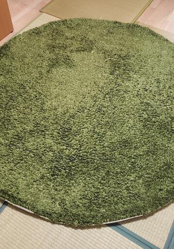 ニトリの円形ラグ 緑 ふじりんご 球場前のカーペット マット ラグの中古あげます 譲ります ジモティーで不用品の処分