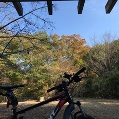 自転車でふらふらと