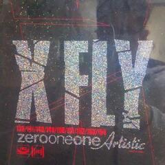 定価約10万円のグラトリ名器】011 Artistic X FLY 150センチ