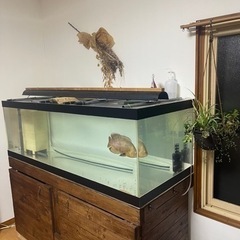 1500×600×600アクリルオーバーフロー水槽