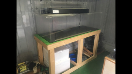 お値下げ可能❗️1500水槽フルセット　古代魚・熱帯魚・大型魚
