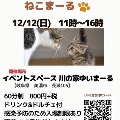 猫カフェ開催！譲渡会！2021.12.12(日)