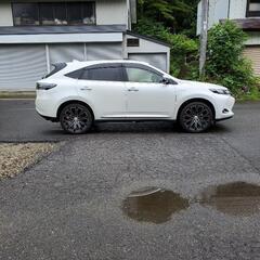 ヴェネルディ VENERDI 20インチ