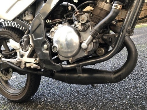 TZR50R 4EU-4 ネイキッド仕様 デイトナCDI ヨコタチャンバー 水冷2スト7.2ps 付属品有 TZR50R 4EU-4 ネイキッド仕様 デイトナCDI ヨコタチャンバー 水冷2スト