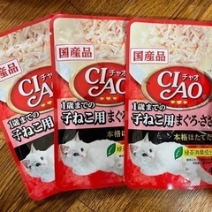 子猫用　キャットフード