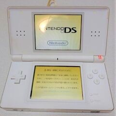 Nintendo ニンテンドーDS Lite 本体 USG-00...