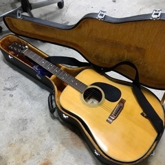 1208-044 【抽選】ハミングバード　フォークギター