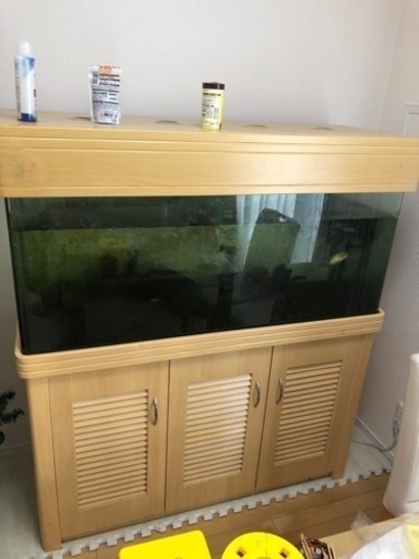 水槽セット