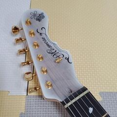 momose FUYUZAKURA　冬桜　テレキャスター