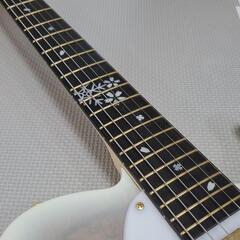 momose FUYUZAKURA　冬桜　テレキャスター