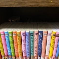 五等分の花嫁セット