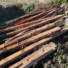 木　柱　廃材
