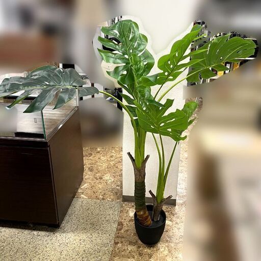 人工観葉植物 ホウライショウ フェイクグリーン ハワイアン リゾート 鳳菜蕉 トップセレクション 札幌のその他の中古あげます 譲ります ジモティーで不用品の処分 人工観葉植物 ホウライショウ フェイクグリーン ハワイアン リゾート 鳳菜蕉 トップセレクション 札幌のその他の中古あげます 譲ります ジモティーで不用品の処分
