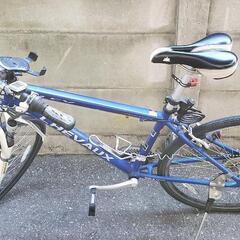 velo mode chevaux 自転車