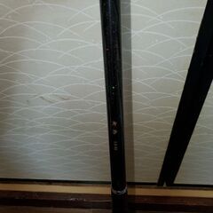 DAIWA大島1.5号と5号竿