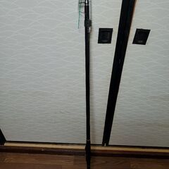 DAIWA大島1.5号と5号竿