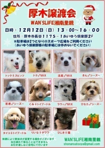 保護犬厚木譲渡会開催します ヒロ 愛甲石田のその他のイベント参加者募集 無料掲載の掲示板 ジモティー
