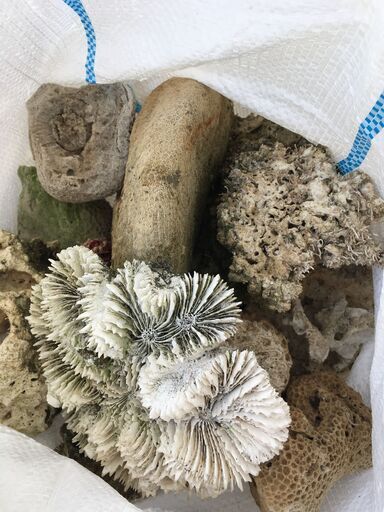 水槽 珊瑚 富士砂3点まとめて差し上げます Ken 徳島のその他の中古あげます 譲ります ジモティーで不用品の処分