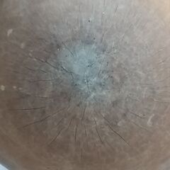  もち臼3升用と杵 幅約41cm高さ約50cm 餅つき 大晦日 お正月 もちつき 臼杵 行事