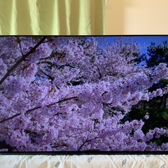 【値下げ12/14】 BRAVIA KJ-55A9F 値下げ12/14】 BRAVIA KJ-55A9F